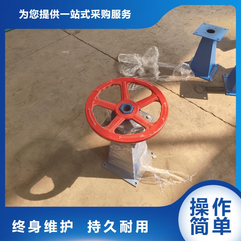 侧摇式螺杆启闭机实体