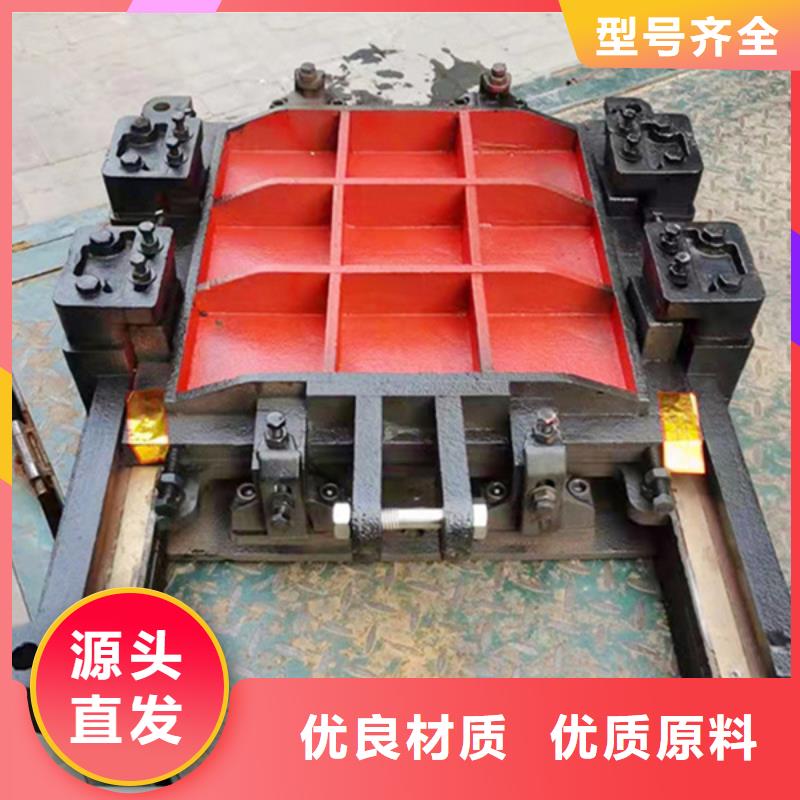雙止水鑄鐵閘門(mén)實(shí)力公司