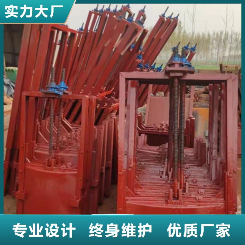 雙止水鑄鐵閘門(mén)實(shí)力公司
