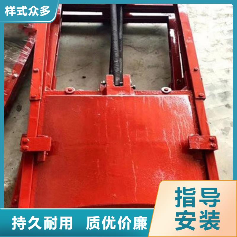 水库铸铁闸门支持大小批量采购