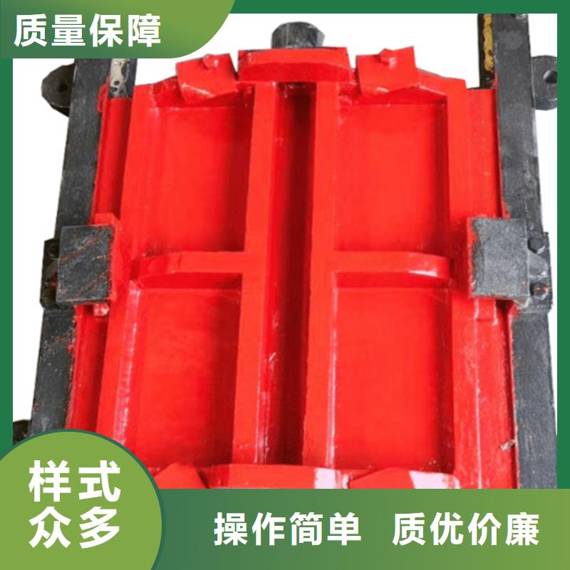貴州潛孔式鑄鐵閘門擁有多家成功案例