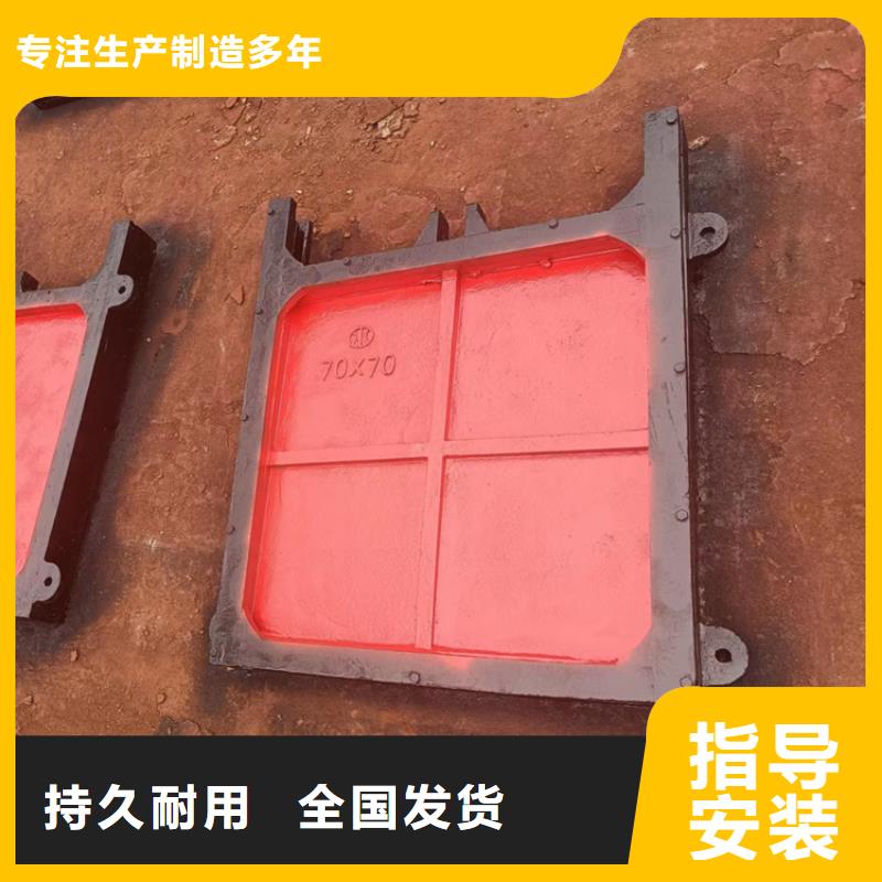 雙止水鑄鐵閘門(mén)實(shí)力公司