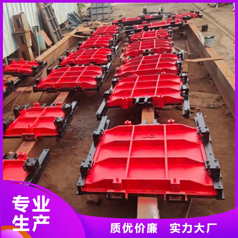水库铸铁闸门支持大小批量采购