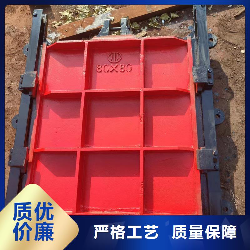 球墨鑄鐵閘門案例