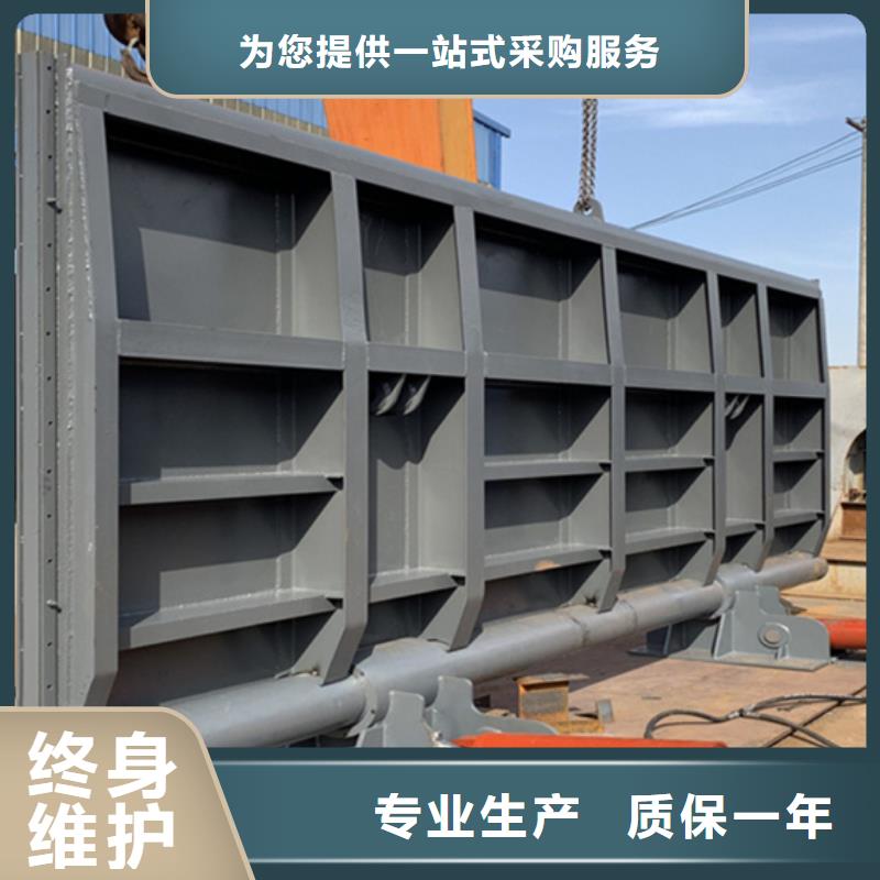 钢坝闸门工厂批发