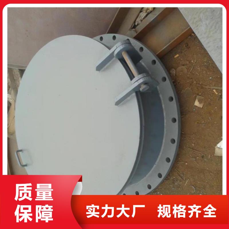 鋼制拍門拍門廠家實(shí)力大廠