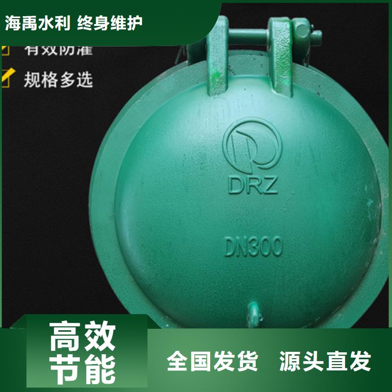 側(cè)開(kāi)式拍門浮箱拍門廠家貨到付款