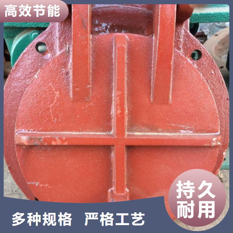 雙開(kāi)門(mén)式拍門(mén)方形拍門(mén)嚴(yán)格工藝