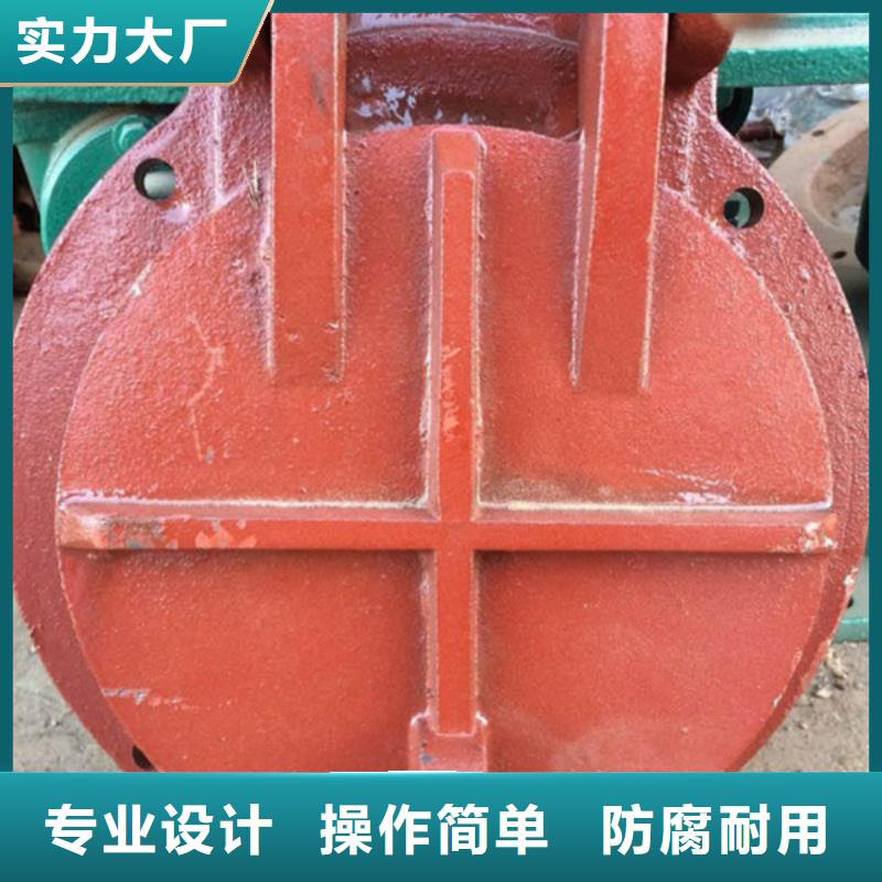 雙開(kāi)門(mén)式拍門(mén)方形拍門(mén)嚴(yán)格工藝