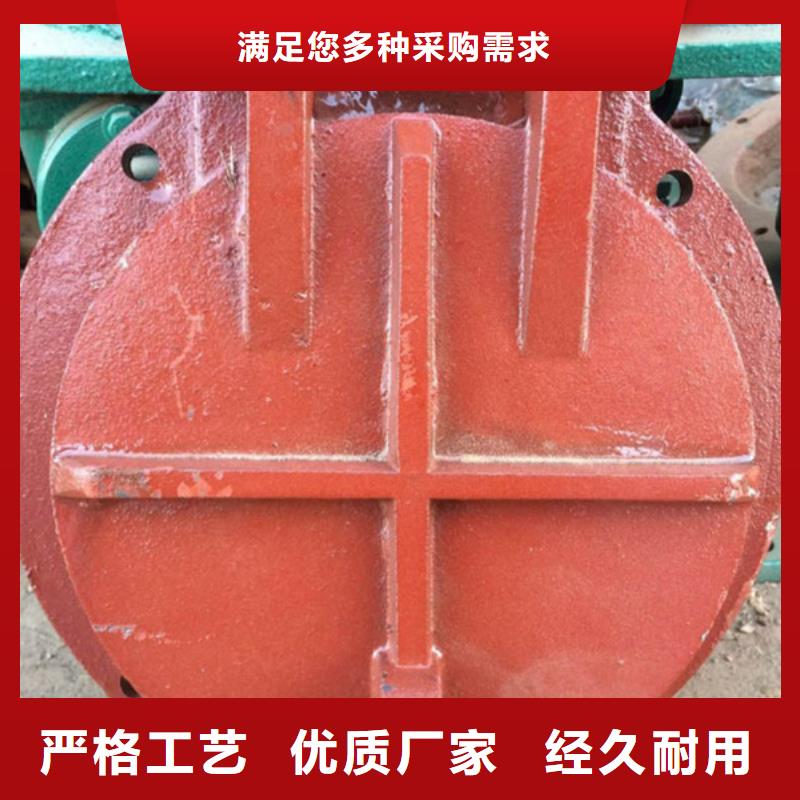 鑄鐵拍門復合材料拍門優(yōu)質(zhì)廠家