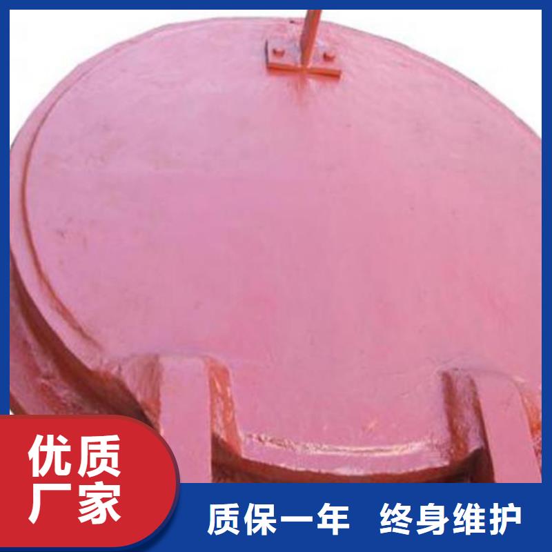 側(cè)開(kāi)式拍門(mén)復(fù)合材料拍門(mén)售后無(wú)憂