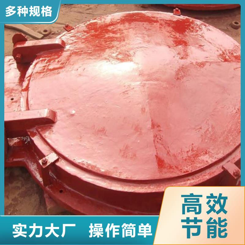 玻璃鋼拍門(mén)拍門(mén)廠家批量現(xiàn)貨