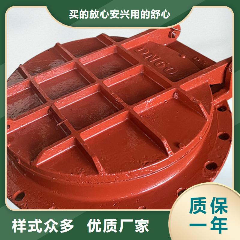 側(cè)開(kāi)式拍門浮箱拍門廠家貨到付款