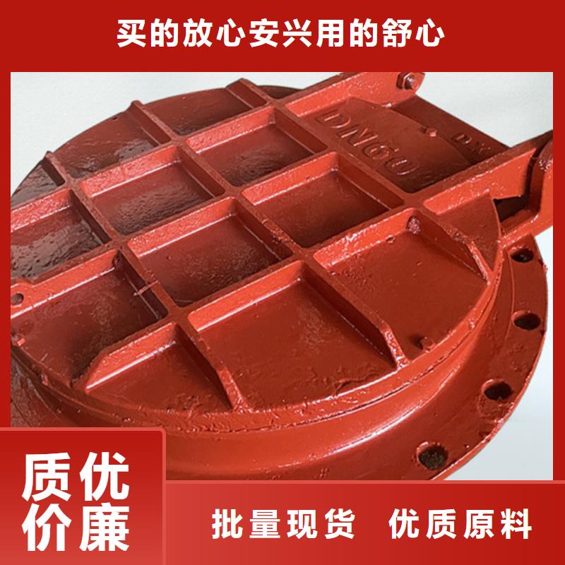 側(cè)開式拍門雙向節(jié)能側(cè)翻拍門規(guī)格齊全