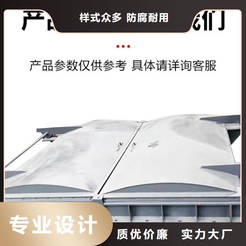 玻璃鋼拍門(mén)拍門(mén)廠家專業(yè)生產(chǎn)