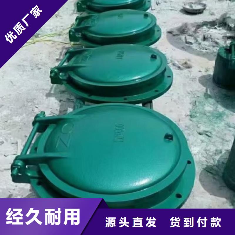 拍門鋼制方拍門終身維護(hù)