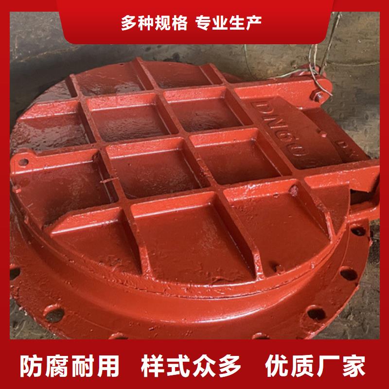 玻璃鋼拍門(mén)拍門(mén)廠家批量現(xiàn)貨