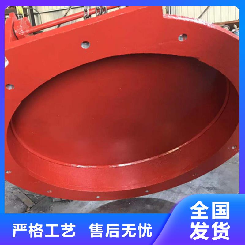鋼制拍門拍門廠家實(shí)力大廠