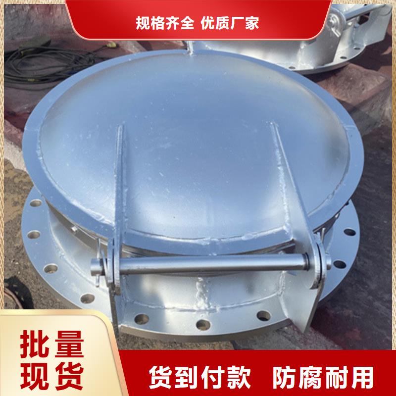 側(cè)開(kāi)式拍門浮箱拍門廠家貨到付款