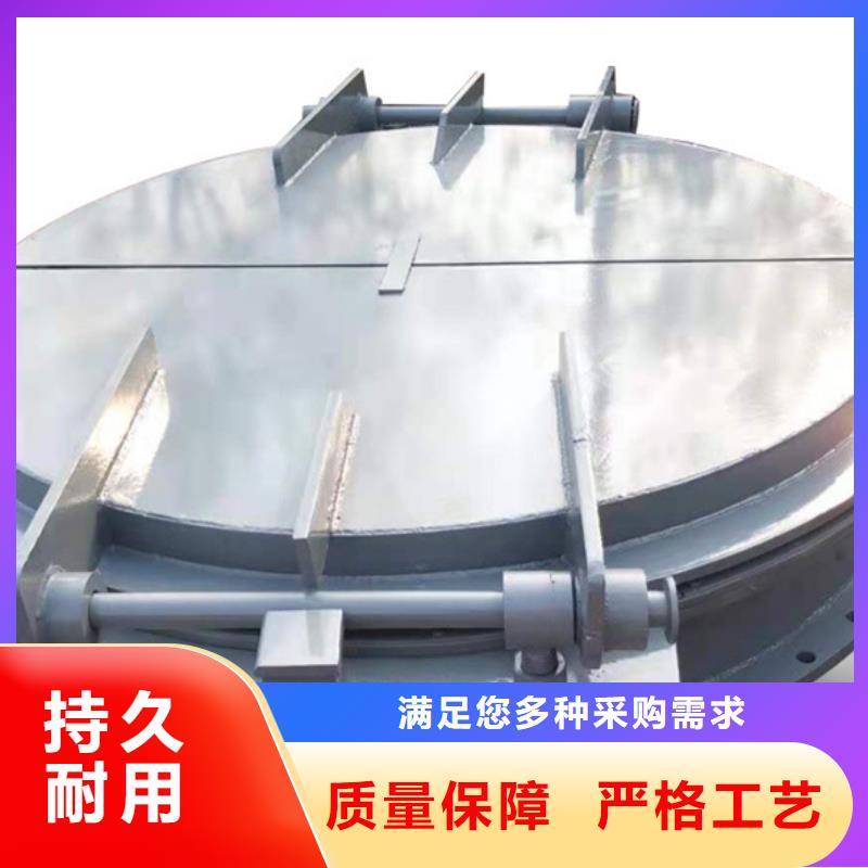 鑄鐵拍門復(fù)合材料拍門質(zhì)保一年