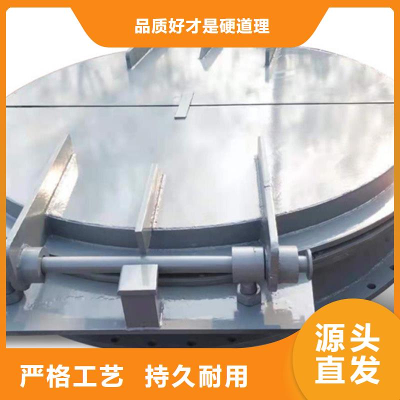 玻璃鋼拍門鑄鐵拍門廠家樣式眾多