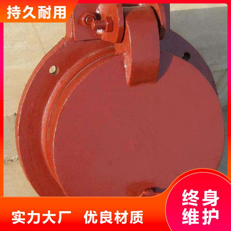 拍門拍門廠家防腐耐用