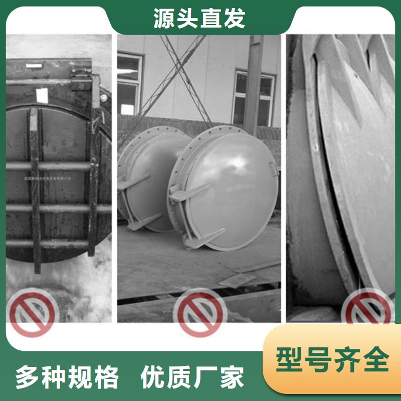 拍門拍門廠家防腐耐用