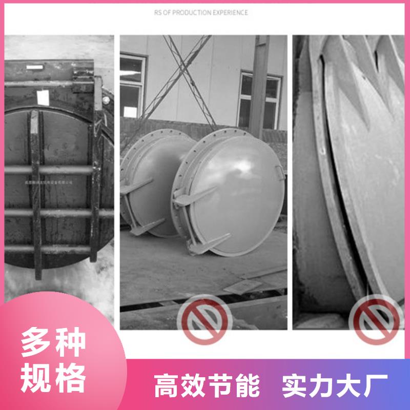 側(cè)開式鋼拍門方形拍門廠家海禹水利