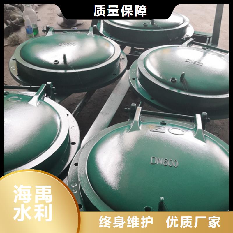 浮箱拍門復(fù)合材料拍門廠家多種規(guī)格