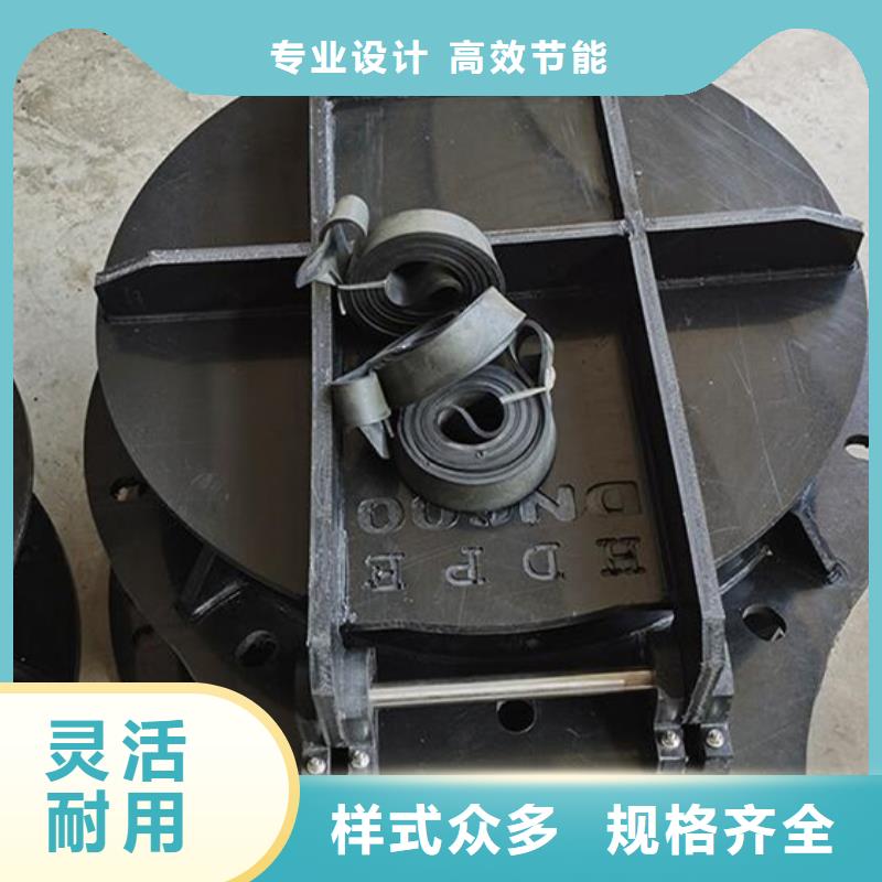 雙開門式拍門節(jié)能型拍門節(jié)能