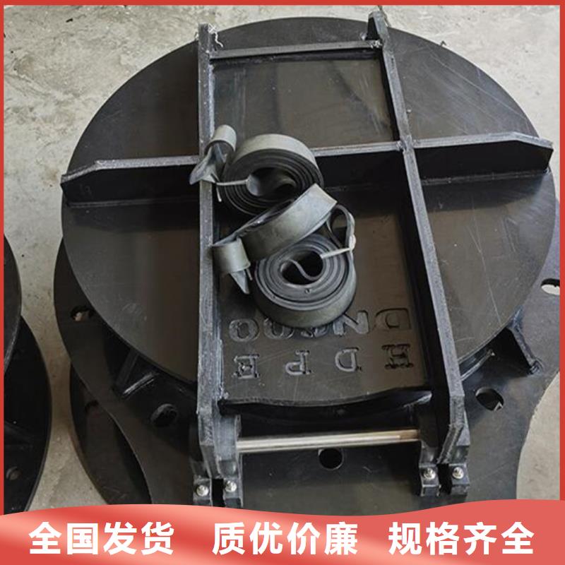 玻璃鋼拍門拍門廠家專業(yè)生產(chǎn)