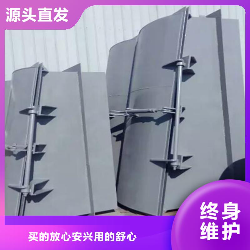 鋼制拍門拍門廠家實(shí)力大廠