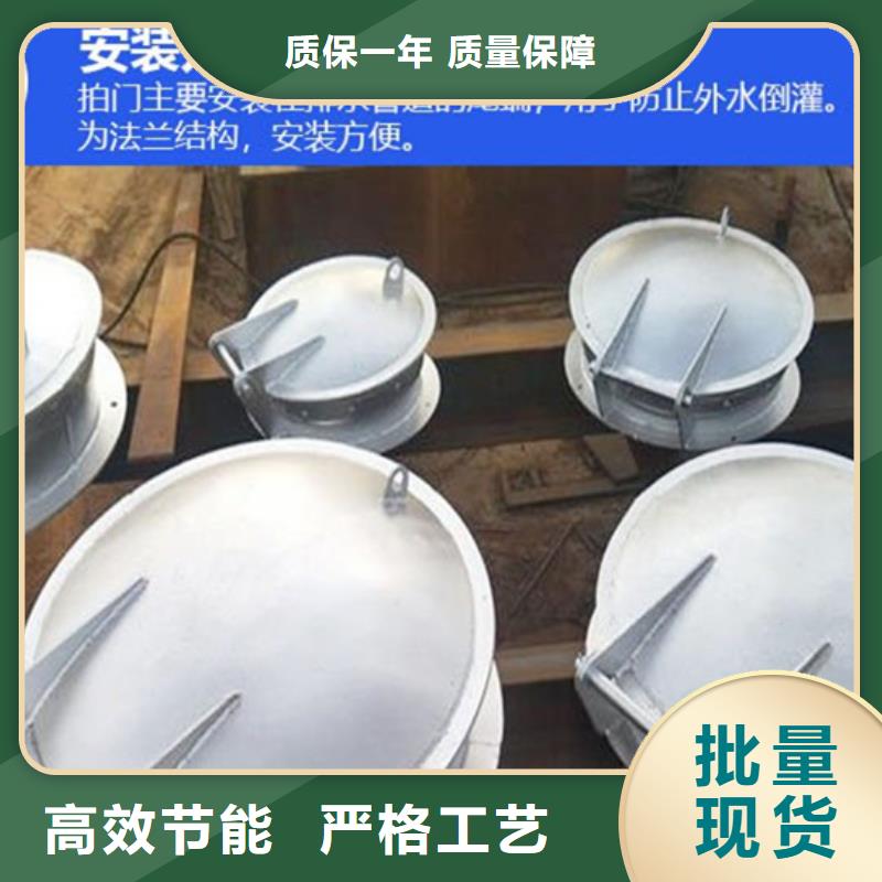 玻璃鋼拍門(mén)拍門(mén)廠家批量現(xiàn)貨