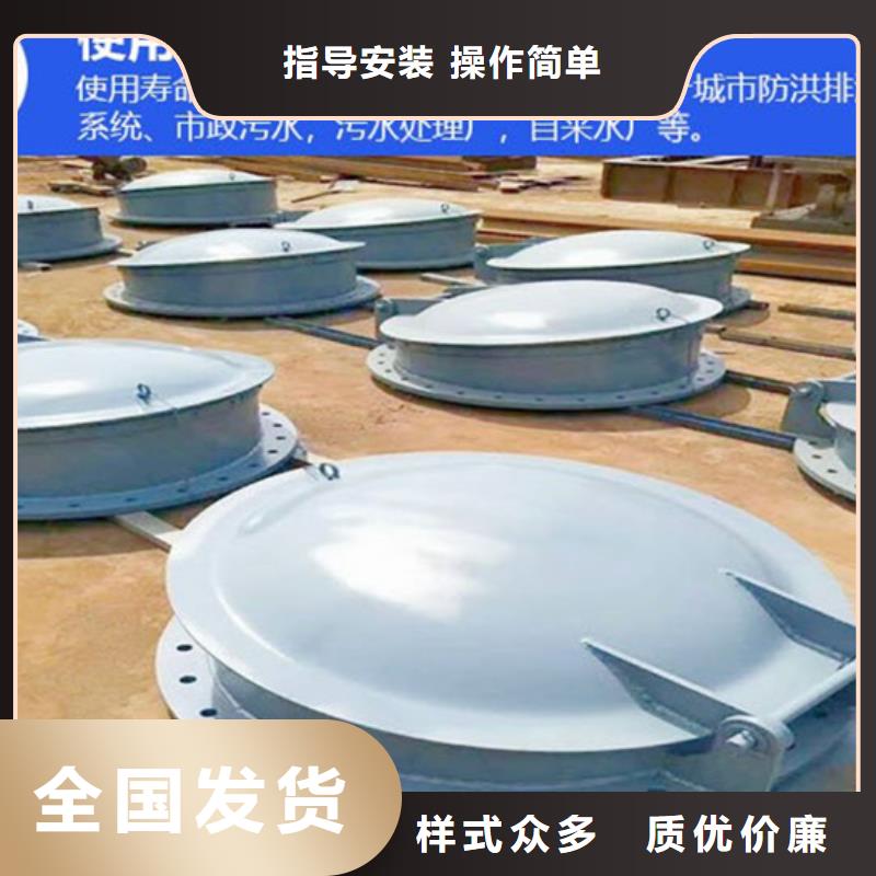 玻璃鋼拍門鑄鐵拍門廠家樣式眾多