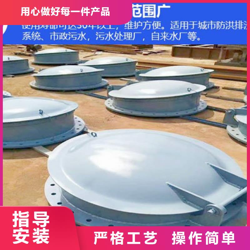 雙開(kāi)門(mén)式拍門(mén)方形拍門(mén)嚴(yán)格工藝