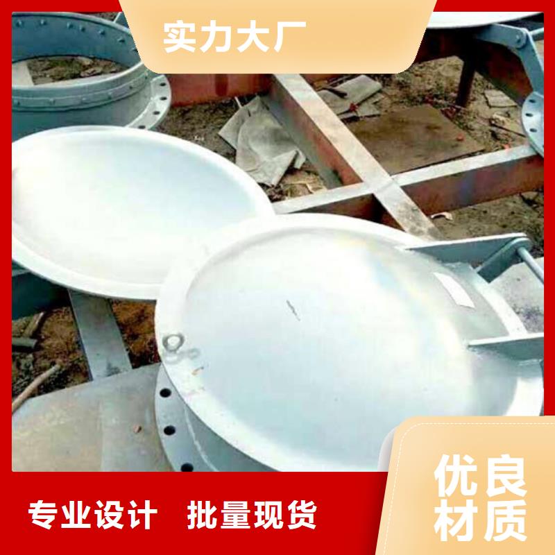 玻璃鋼拍門鑄鐵拍門廠家樣式眾多