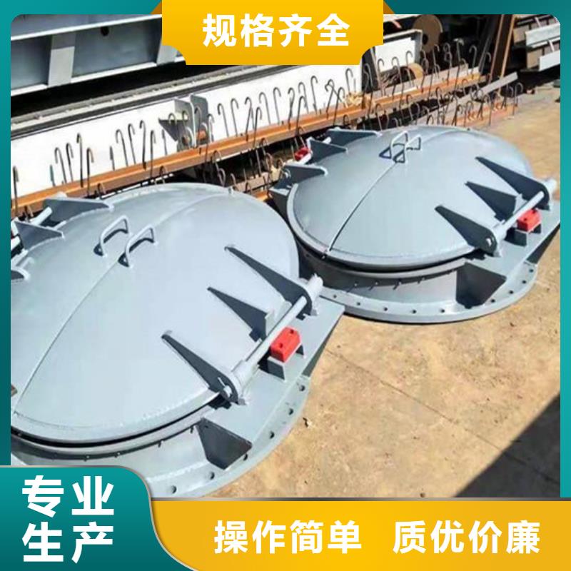 側(cè)開式鋼拍門側(cè)開式鋼拍門廠家全國