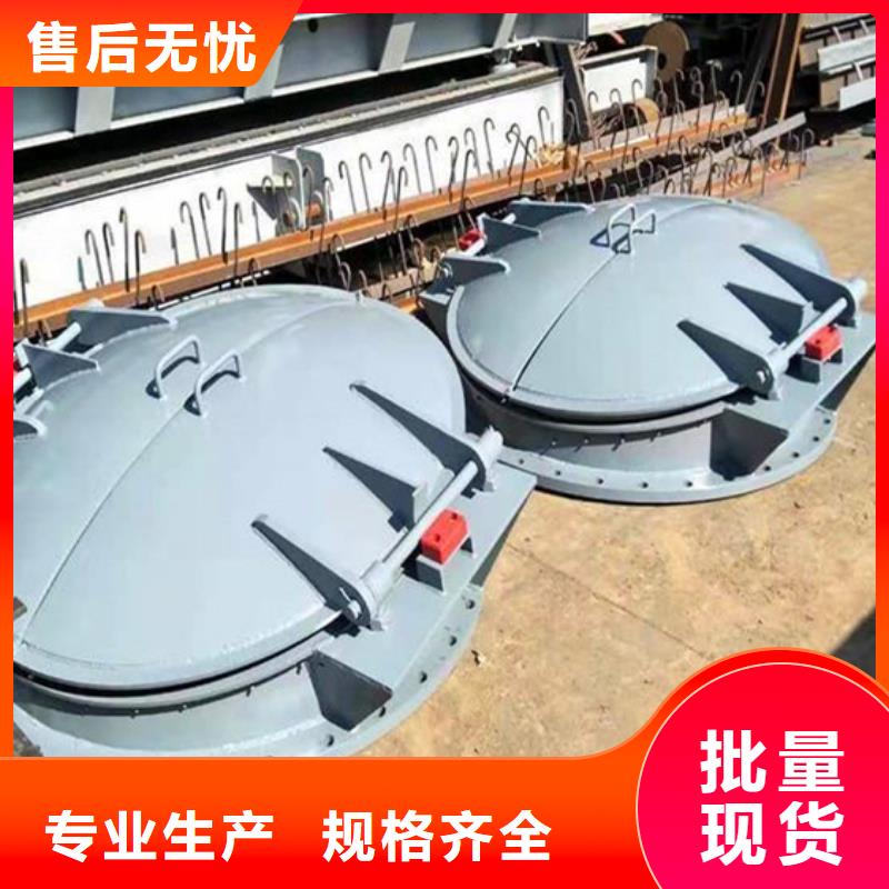 拍門拍門廠家防腐耐用