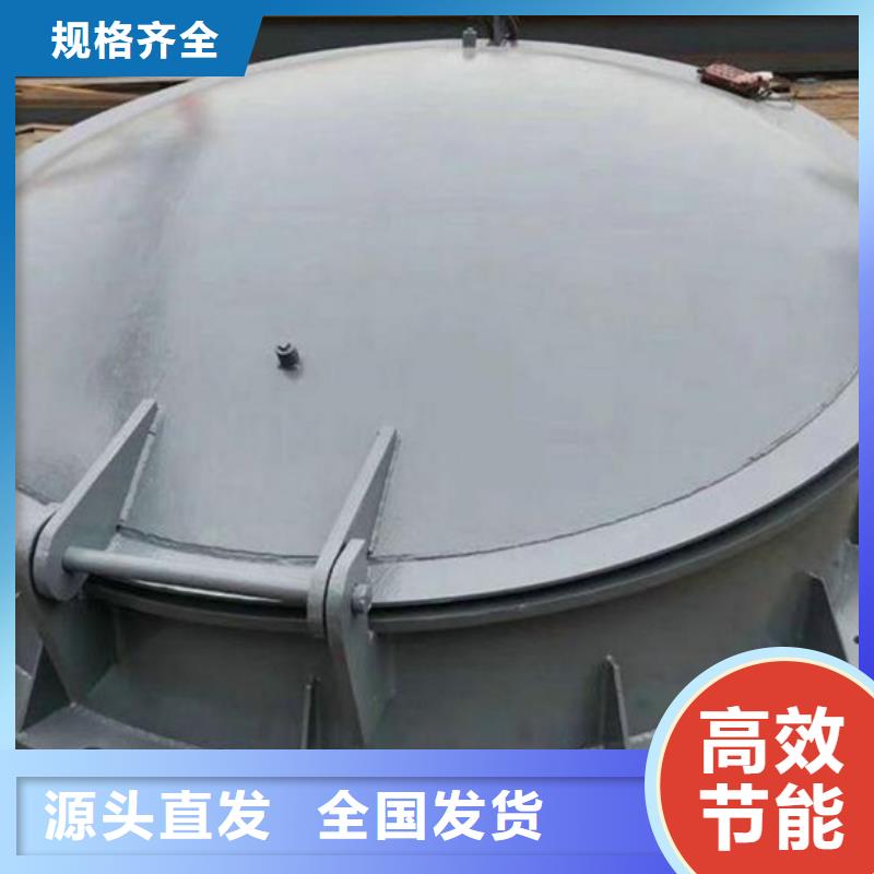 鋼制拍門(mén)拍門(mén)廠家實(shí)力大廠