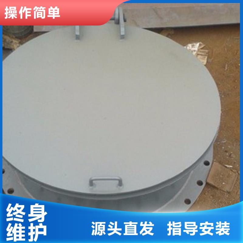 玻璃鋼拍門(mén)拍門(mén)廠家專業(yè)生產(chǎn)