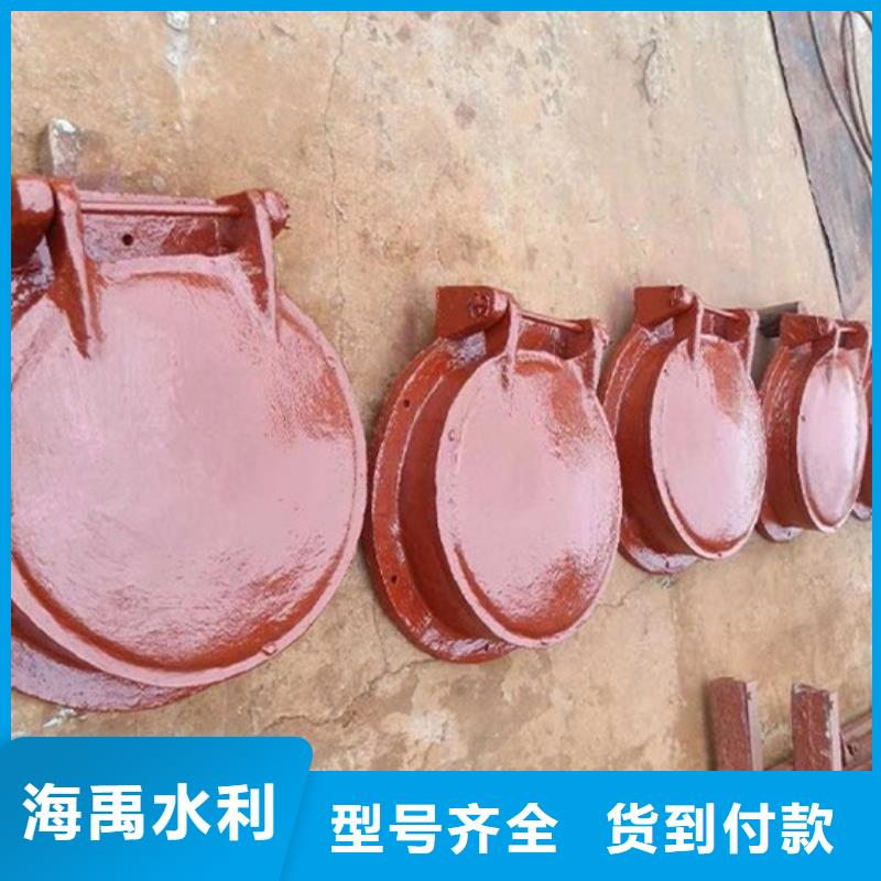 側(cè)開(kāi)式拍門浮箱拍門廠家貨到付款