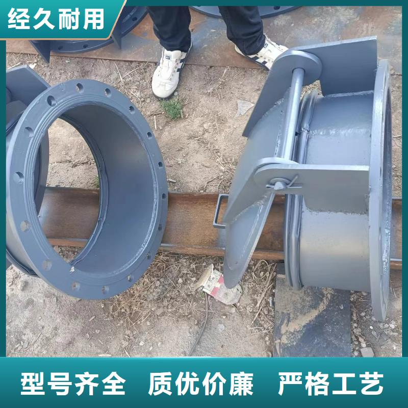 玻璃鋼拍門(mén)拍門(mén)廠家專業(yè)生產(chǎn)