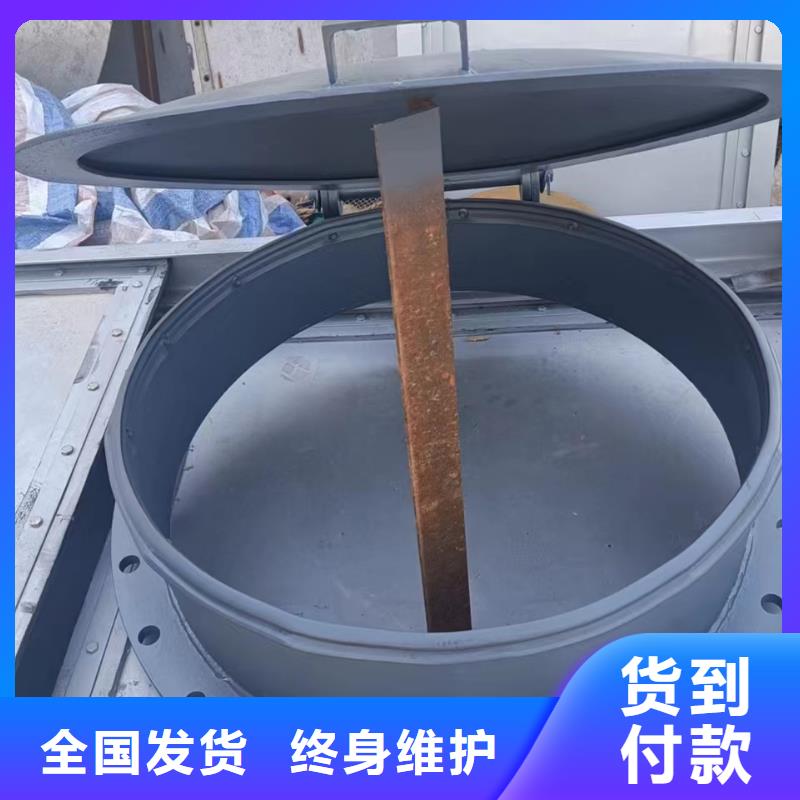 鋼制拍門(mén)節(jié)能型拍門(mén)貨到付款