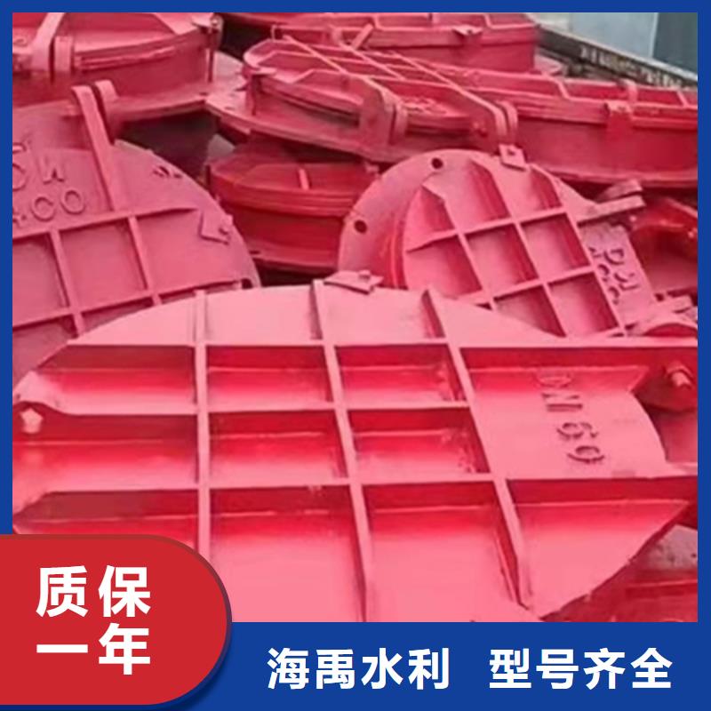 雙開(kāi)門(mén)式拍門(mén)方形拍門(mén)嚴(yán)格工藝