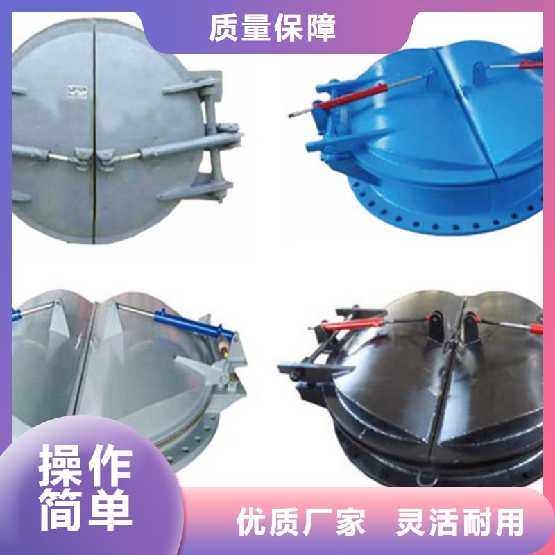 玻璃鋼拍門鑄鐵拍門廠家樣式眾多