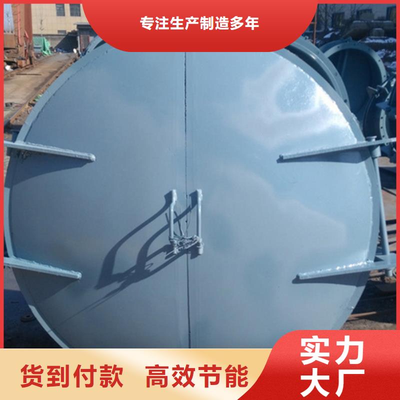 拍門拍門廠家防腐耐用