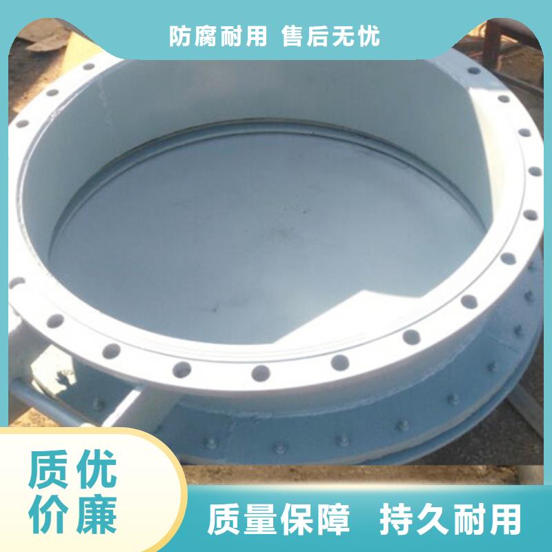 玻璃鋼拍門雙開門式拍門廠家海禹水利