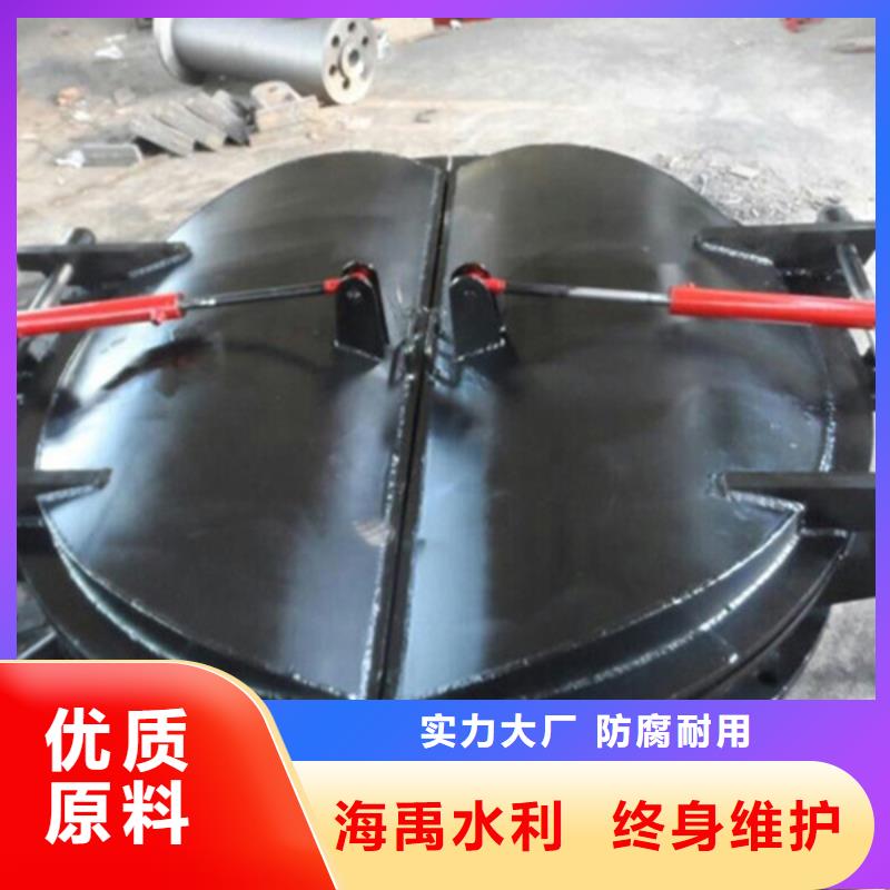 鋼制拍門拍門廠家實(shí)力大廠
