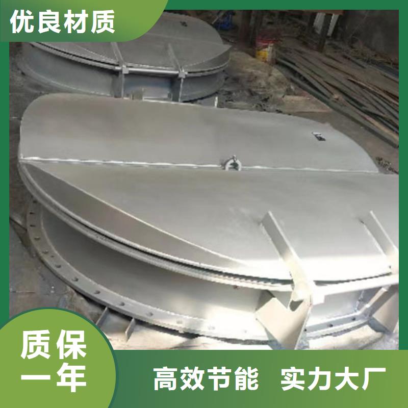 雙開(kāi)門(mén)式拍門(mén)方形拍門(mén)嚴(yán)格工藝