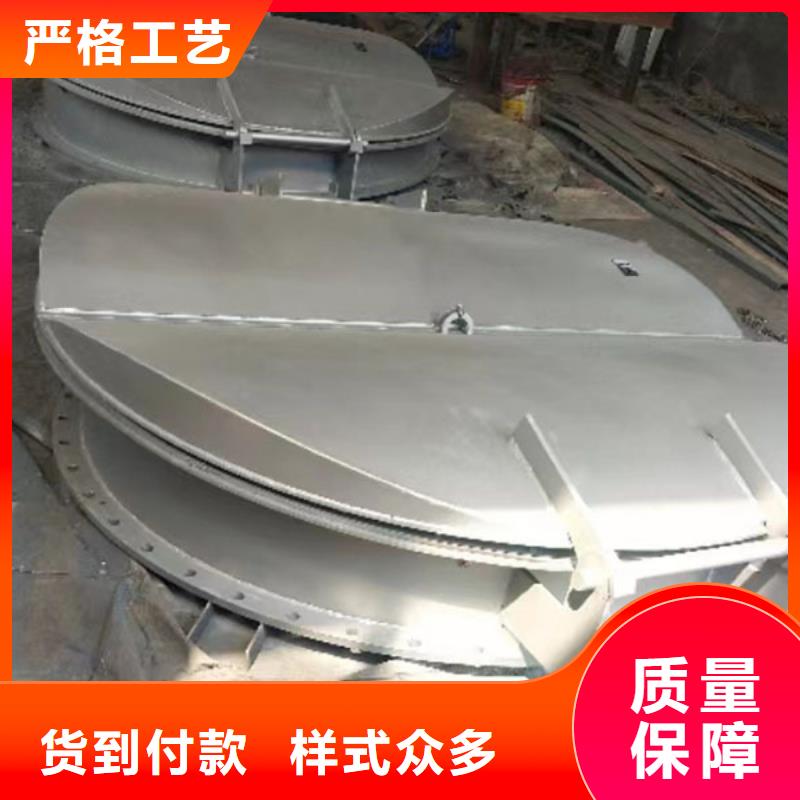 雙開門式拍門節(jié)能型拍門節(jié)能